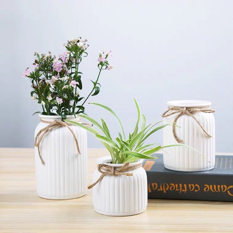 🇸🇬[SG Stock]🇸🇬White Vase preserved & dried flower vase Striped Ceramic Flowerpot | home decorations | Preserved Flowers