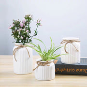 White Vase preserved & dried flower vase Striped Ceramic | DreamGarden SG