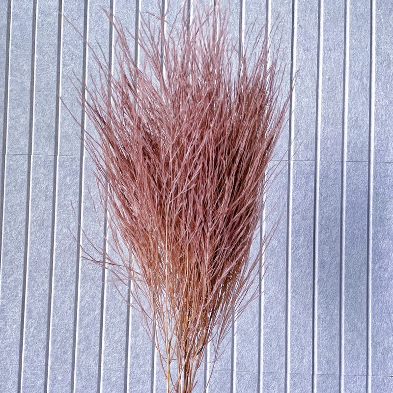 🇸🇬[SG Stock] Preserved Feather Grass For Christmas Home Decor/DIY/Wedding/Glass Cover Dome Dried Eternal Flowers
