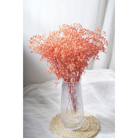 🇸🇬[SG Stock]Preserved Flowers Dried Flowers Preserved Baby Breath Singapore Local Florist/Home Decoration/DIY/Wedding