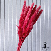 Dried Flower Preserved preserved flower Dried bleach | DreamGarden SG