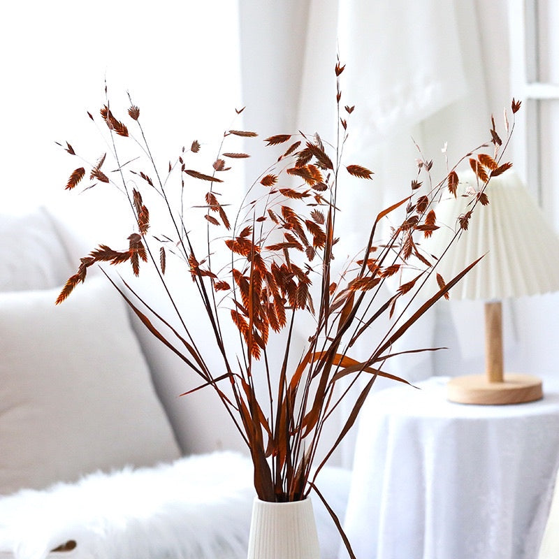 🇸🇬[SG Stock]Preserved Flowers Dried Flower Preserved Chasmanthium Latifolium Northern Sea Oats Spangle Grass Spike Grass