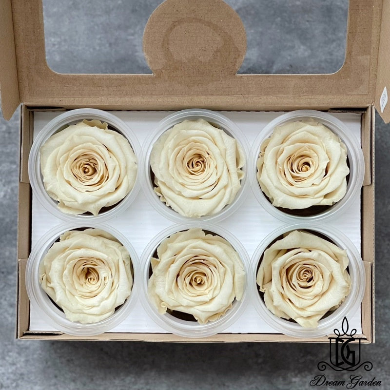 🇸🇬[SG Stock]🇸🇬SG Local Largest Wholesaler RoseAmor Pearl Color Preserved Roses Japanese Preserved Flowers Ecuador Roses
