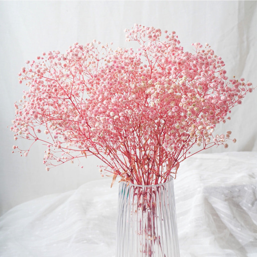 🇸🇬[SG Stock]Singapore Local Wholesaler Preserved Flowers Dried Flowers Preserved Babybreath Home Decoration/DIY/Wedding