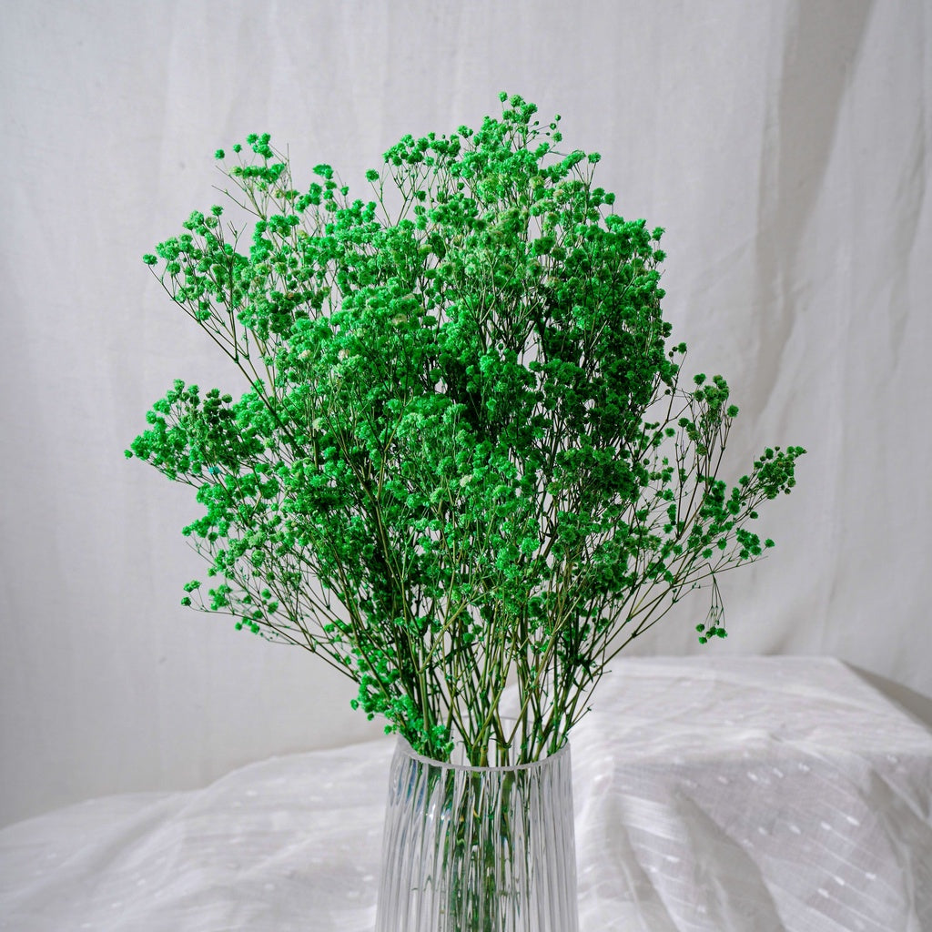 🇸🇬[SG Stock]Singapore Local Wholesaler Preserved Flowers Dried Flowers Preserved Babybreath Home Decoration/DIY/Wedding