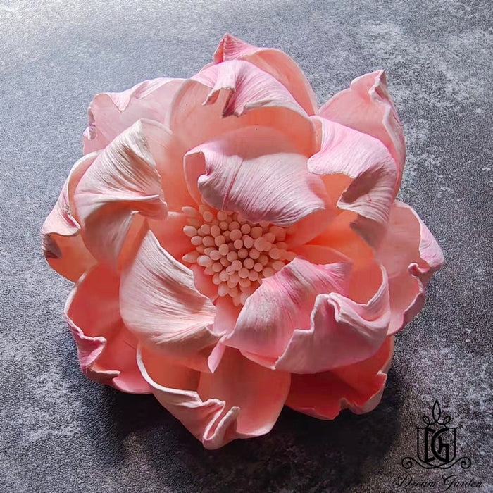 New Arrival Dried Flower Sola Flowers Wood Flower | DreamGarden SG