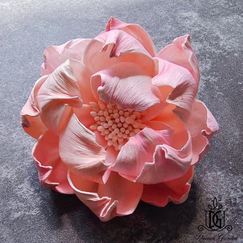 🇸🇬[SG Stock]SG Stock New Arrival Dried Flower Sola Flowers Wood Flower Handmade Flower Chrysanthemum Lotus Peony