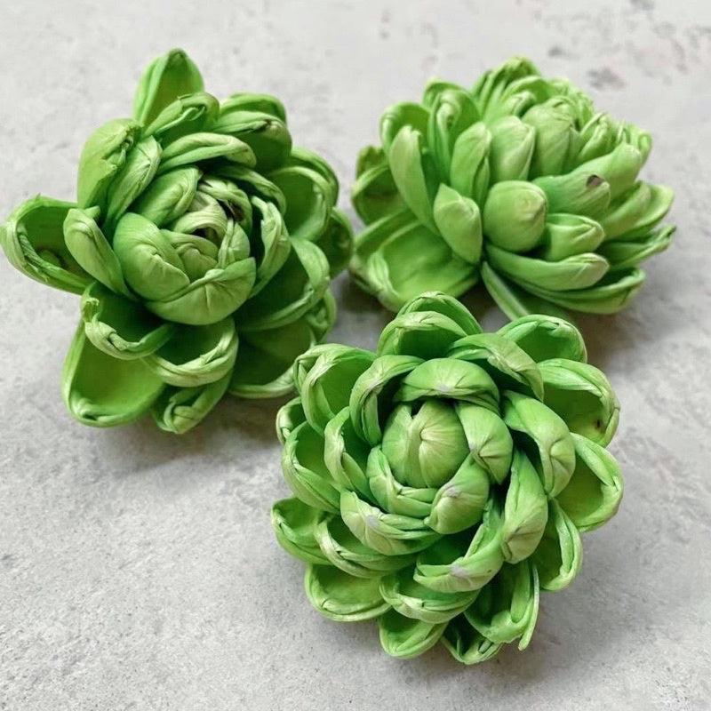 🇸🇬[SG Stock]Preserved Flowers Dried Flowers Colored Sola Flowers Wood Flower Handmade Flower Chrysanthemum Lotus Peony