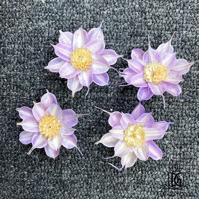 🇸🇬[SG Stock]SG Stock New Arrival Dried Flower Sola Flowers Wood Flower Handmade Flower Chrysanthemum Lotus Peony