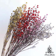 Preserved Flower Branches For Home | DreamGarden SG