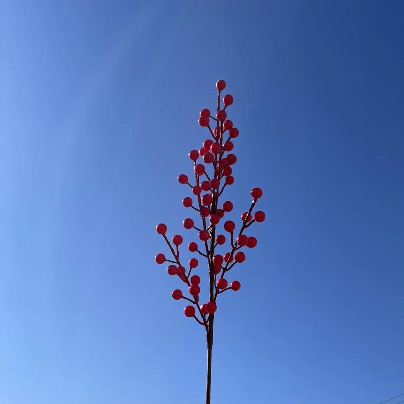 🇸🇬[SG Stock]Preserved Flowers Dried Flowers Gold Leaves Gold Plastic Flower Artificial Flower Red Fruits Singapore Local