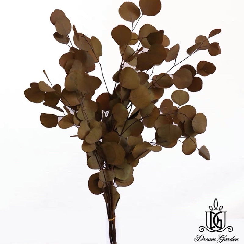 🇸🇬[SG Stock]Singapore Local Wholesaler Dream Garden Preserved Flowers Dried Flower Preserved Leaves Preserved Eucalyptus