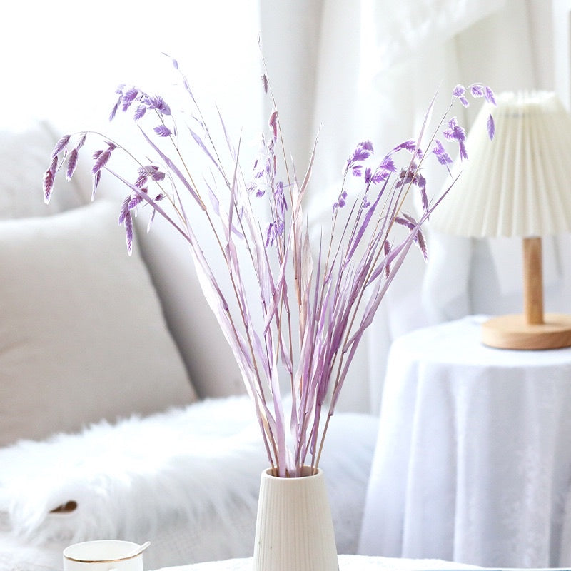 🇸🇬[SG Stock]Preserved Flowers Dried Flower Preserved Chasmanthium Latifolium Northern Sea Oats Spangle Grass Spike Grass