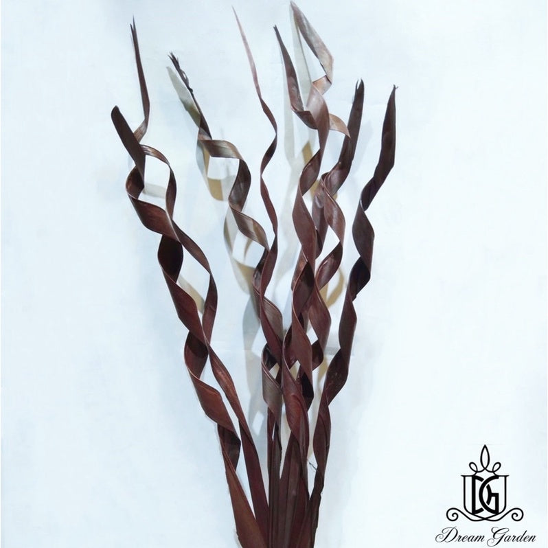 🇸🇬[SG Stock]Dream Garden Preserved Flowers Dried Flowers Dried Palm Leaf Stripes Singapore Local Wholesalers