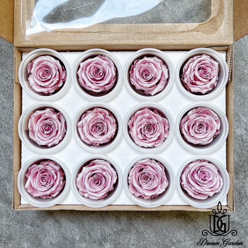 🇸🇬[SG Stock] Pearl Color RoseAmor Austin Japanese Preserved Roses Ecuador Preserved Roses Singapore Local Wholesalers