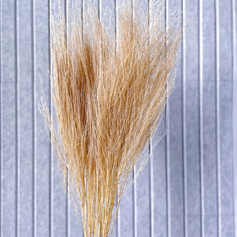 🇸🇬[SG Stock] Preserved Feather Grass For Christmas Home Decor/DIY/Wedding/Glass Cover Dome Dried Eternal Flowers