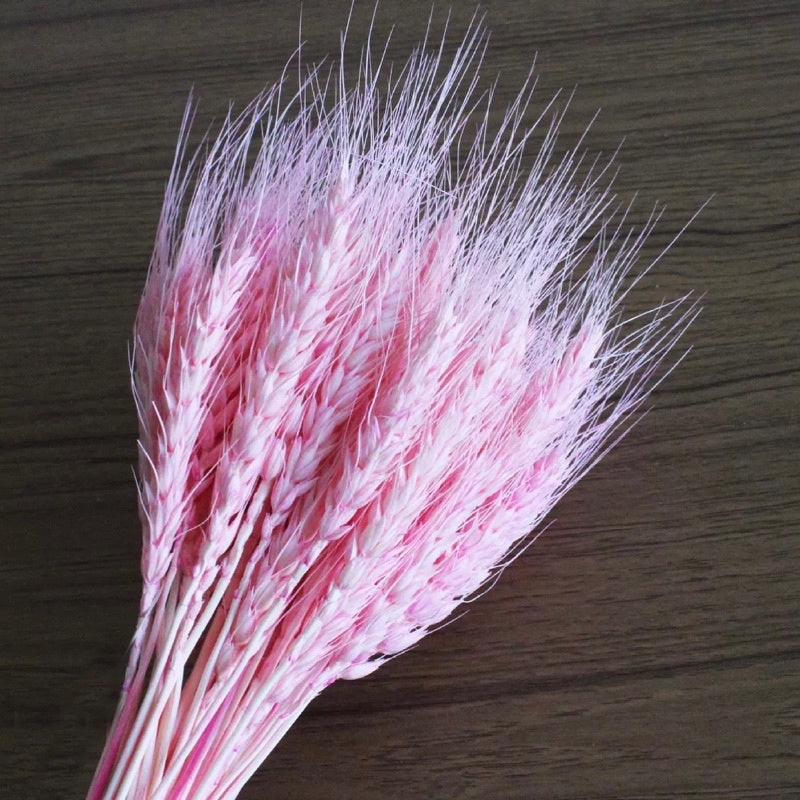 🇸🇬[SG Stock]Preserved Flowers Dried Flowers Dried Wheat Singapore Local Wholesalers Home Decoration/DIY/Wedding