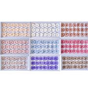 Grade A Preserved Austin Roses 2cm-3cm | DreamGarden SG