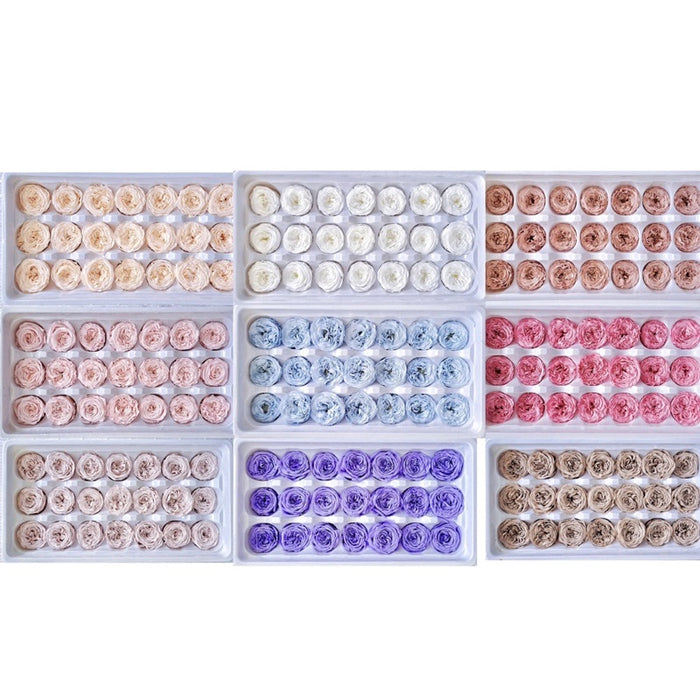Grade A Preserved Austin Roses 2cm-3cm | DreamGarden SG