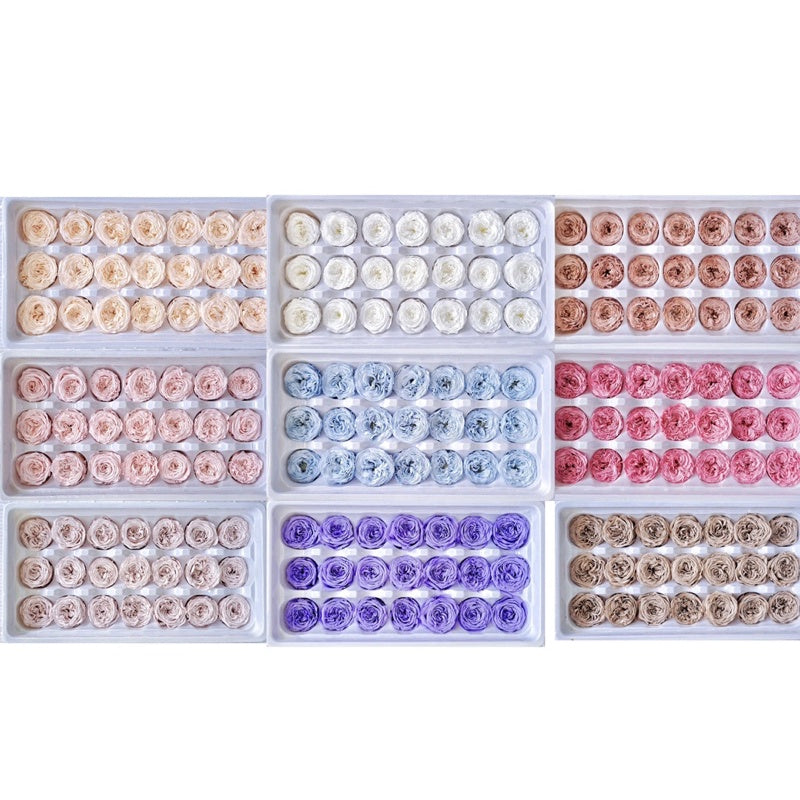 🇸🇬[SG Stock][Dream Garden]Grade A Preserved Austin Roses 2cm-3cm Preserved Flowers Home Decoration/DIY/Wedding/Dome