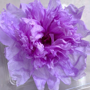 Preserved Peony Preserved Paeonia Lactiflora | DreamGarden SG