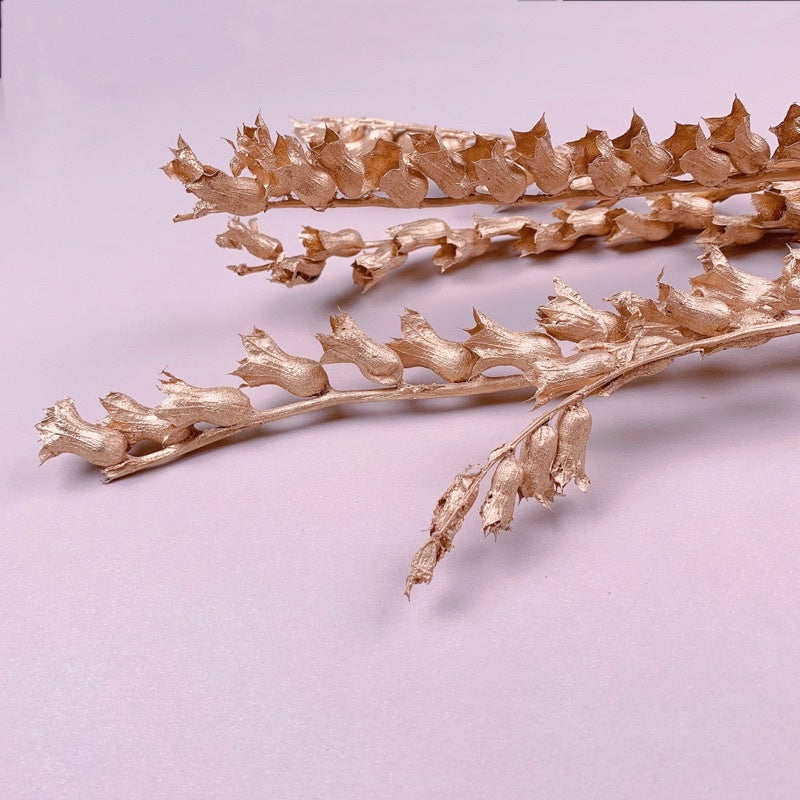 🇸🇬[SG Stock]Preserved Flowers Dried Flowers Gold Dried Wind Chime Singapore Local Wholesaler Home Decoration/DIY/Wedding