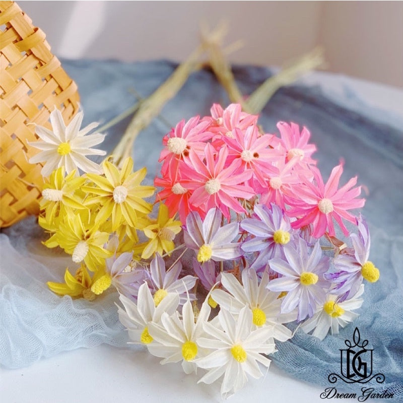 🇸🇬[SG Stock] SG Local Largest Wholesaler Handmade Daisy Chrysanthemum Dried Flowers Suitable For Decoration/Wedding/DIY