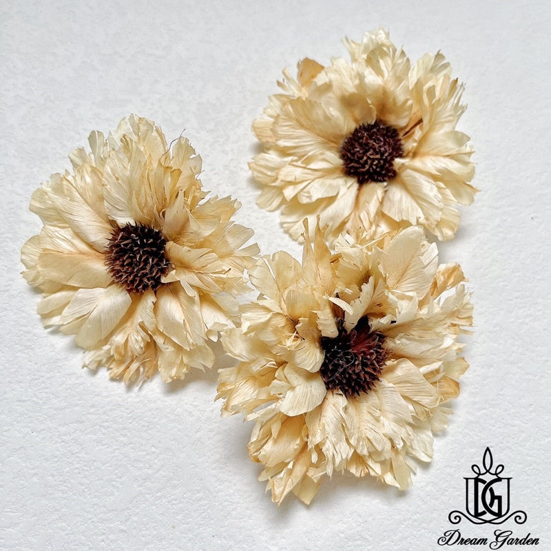 🇸🇬[SG Stock][Dream Garden]Handmade Feathered Chrysanthemum Gerbera Sunflowers Dried Flowers Home Decoration/DIY/Wedding