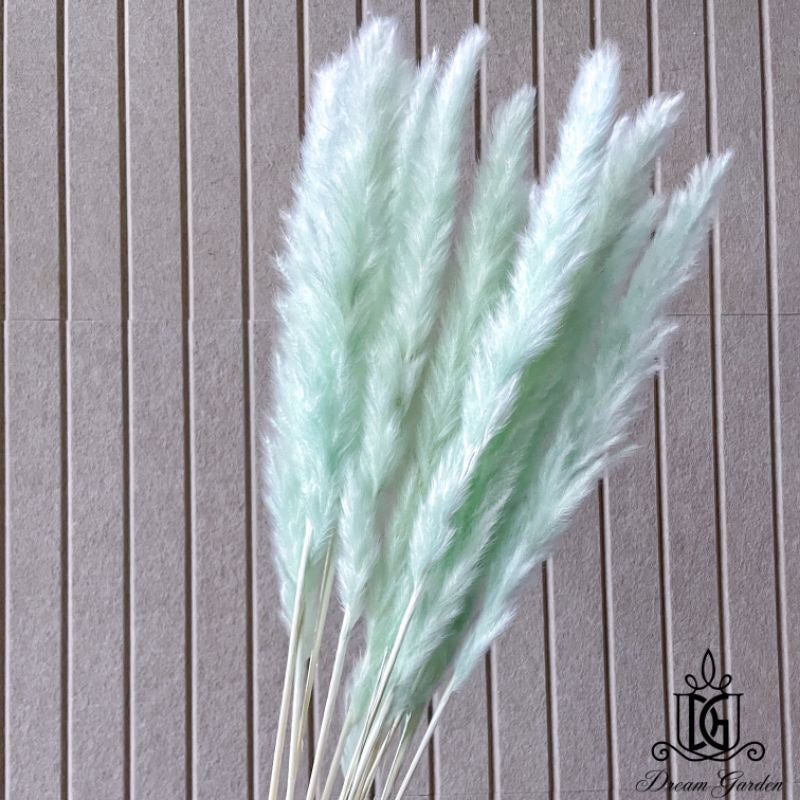 🇸🇬[SG Stock] Dried Flower Preserved  preserved flower wholesaler Dried bleach Small Pampas Grass
