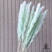 Dried Flower Preserved preserved flower Dried bleach | DreamGarden SG