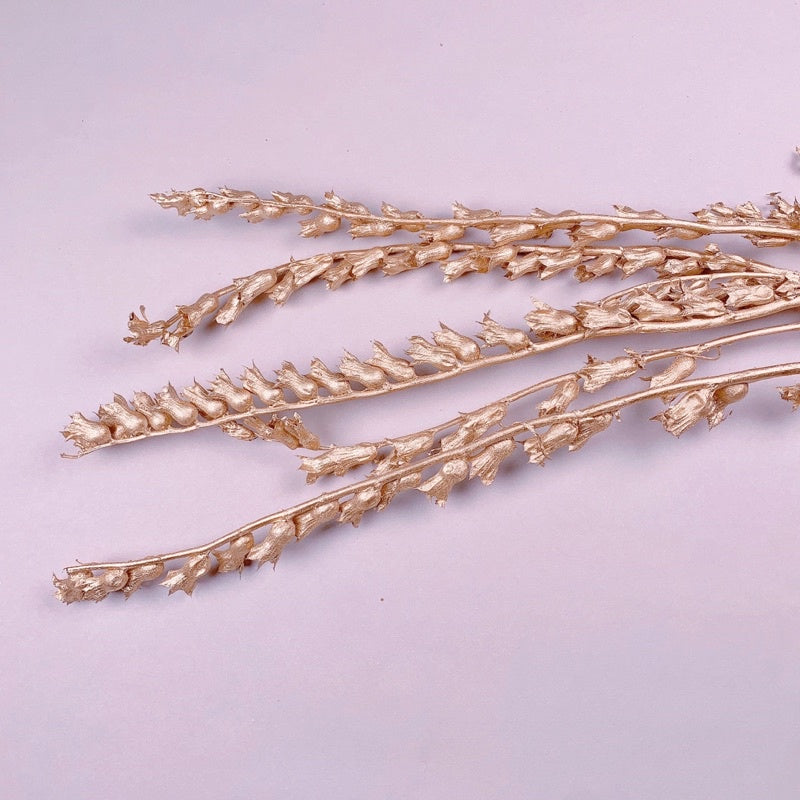 🇸🇬[SG Stock]Preserved Flowers Dried Flowers Gold Dried Wind Chime Singapore Local Wholesaler Home Decoration/DIY/Wedding