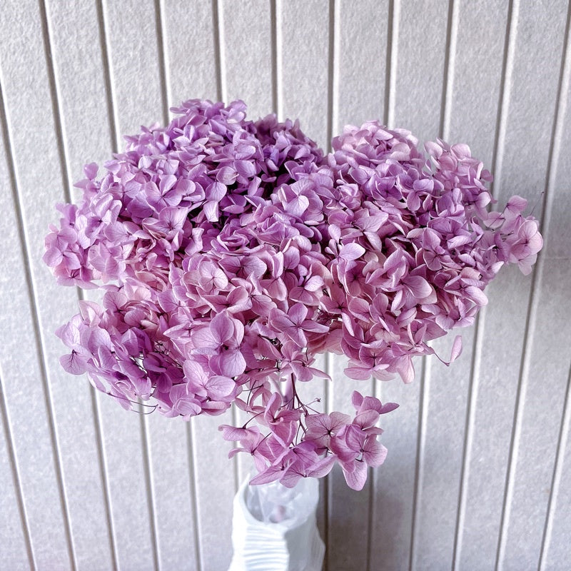 🇸🇬[SG Stock]Preserved Flowers Grade A Preserved Hydrangea Singapore Local Wholesalers Home Decoration/DIY/Wedding