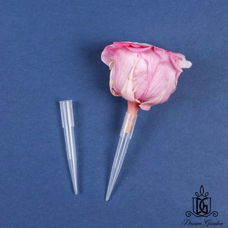 🇸🇬[SG Stock]New Arrival Preserved Flowers Stem Dried Flower Stem Floral Stalk 100gram Packing Floral Stem DIY Decor