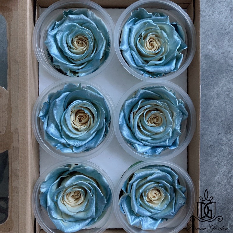 🇸🇬[SG Stock]🇸🇬SG Local Largest Wholesaler RoseAmor Pearl Color Preserved Roses Japanese Preserved Flowers Ecuador Roses