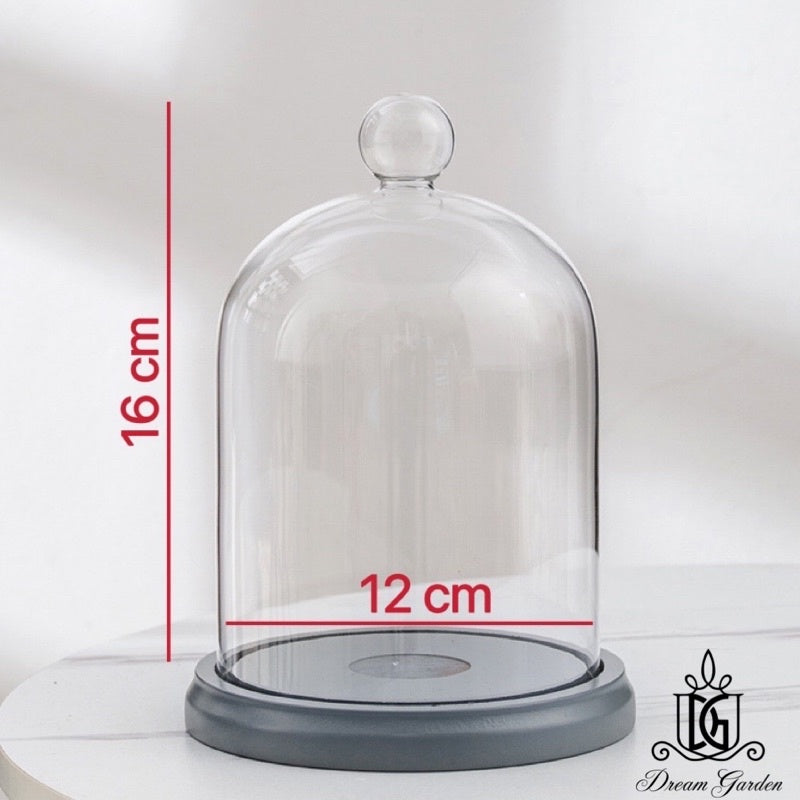 🇸🇬[SG Stock] [Dream Garden] Preserved Flower Dome Clear Glass Cloche Display Dome with LED Wooden Base High Quality