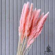 Dried Flower Preserved preserved flower Dried bleach | DreamGarden SG