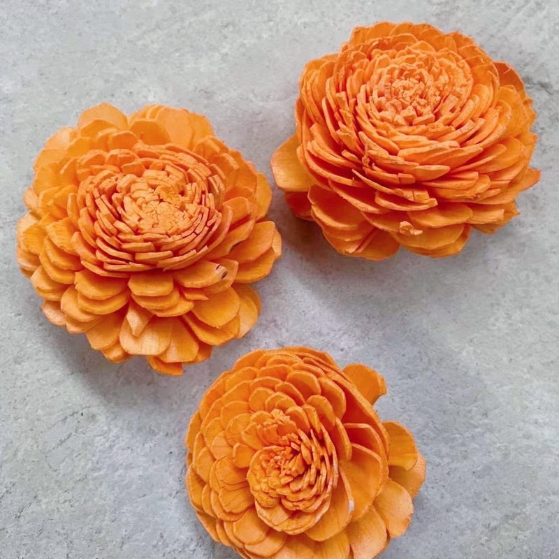 🇸🇬[SG Stock]Preserved Flowers Dried Flowers Colored Sola Flowers Wood Flower Handmade Flower Chrysanthemum Lotus Peony