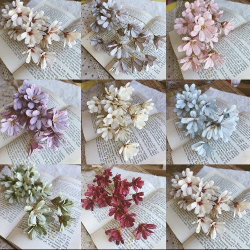🇸🇬[SG Stock]Preserved Flowers Dried Flower Melon seed  Flowers Handmade Japanese Wood Flowers Singapore Local Wholesale