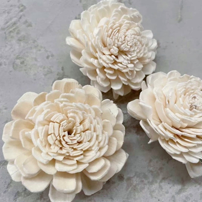 🇸🇬[SG Stock]Preserved Flowers Dried Flowers Colored Sola Flowers Wood Flower Handmade Flower Chrysanthemum Lotus Peony