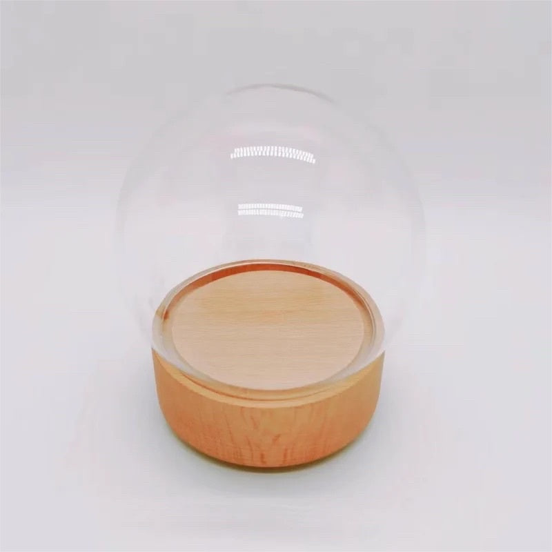 🇸🇬[SG Stock] [Dream Garden]Preserved Flower Dome Glass with Music LED Wooden Base High Quality Rotating Music Box