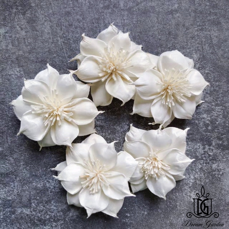 🇸🇬[SG Stock]SG Stock New Arrival Dried Flower Sola Flowers Wood Flower Handmade Flower Chrysanthemum Lotus Peony