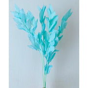 Preserved Ruscus Israeli | DreamGarden SG