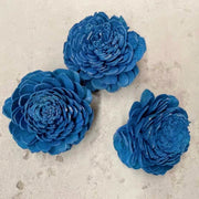 Preserved Flowers Colored Sola Flowers Wood Flower | DreamGarden SG