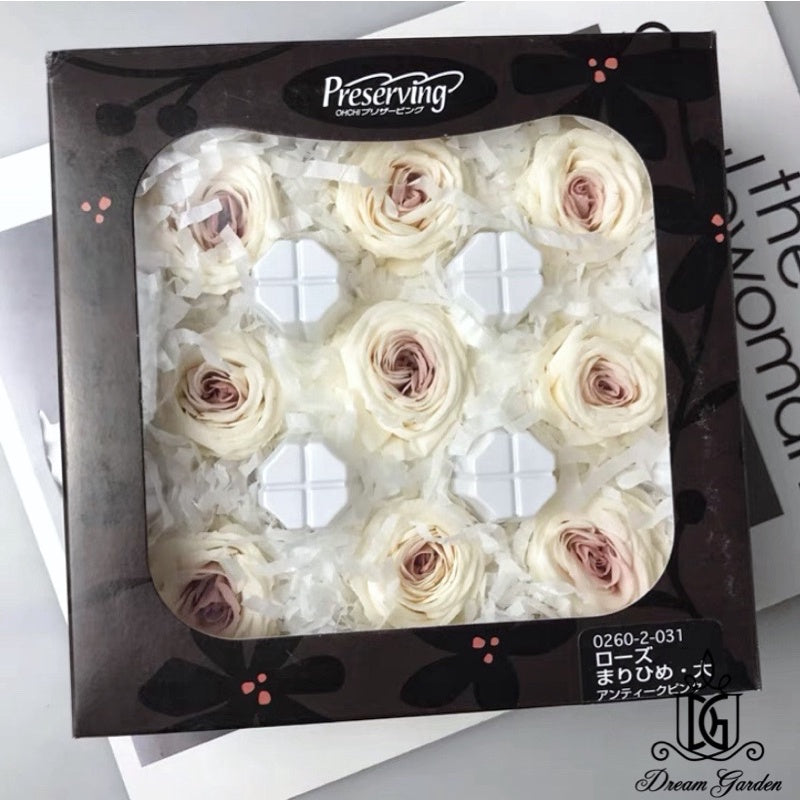 🇸🇬[SG Stock]🇸🇬SG Local Largest Wholesaler Japanese Earth Matters Preserved Austin roses Gradient color Preserved Flowers
