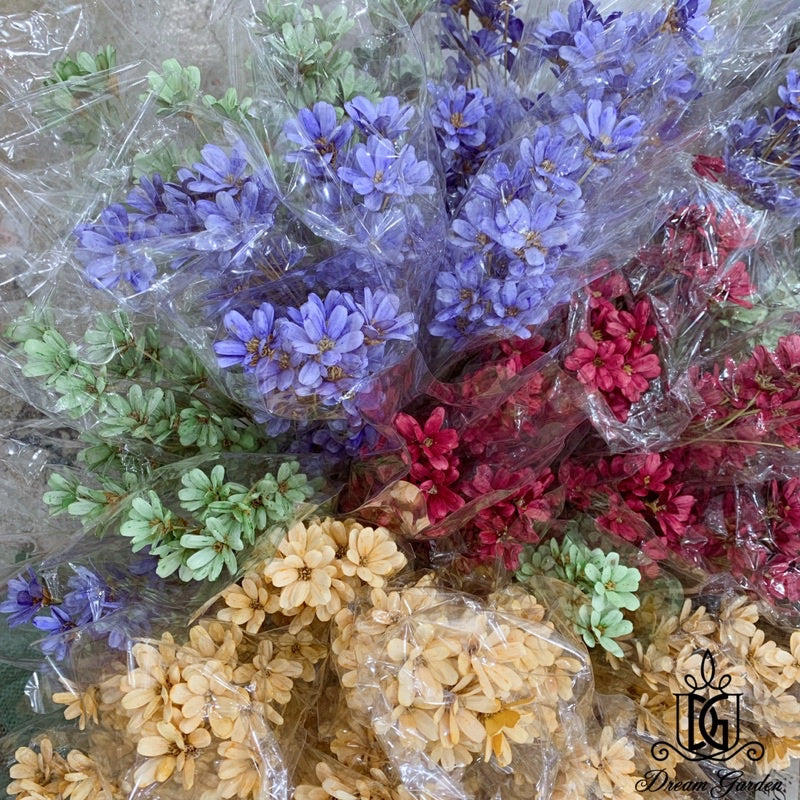 🇸🇬[SG Stock]Preserved Flowers Dried Flower Melon seed  Flowers Handmade Japanese Wood Flowers Singapore Local Wholesale