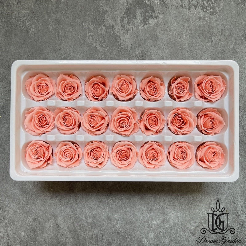 🇸🇬[SG Stock][Dream Garden]Grade A Preserved Roses 2cm-3cm Preserved Flowers Dried Flowers Home Decoration/DIY/Wedding
