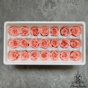 Grade A Preserved Roses 2cm-3cm | DreamGarden SG