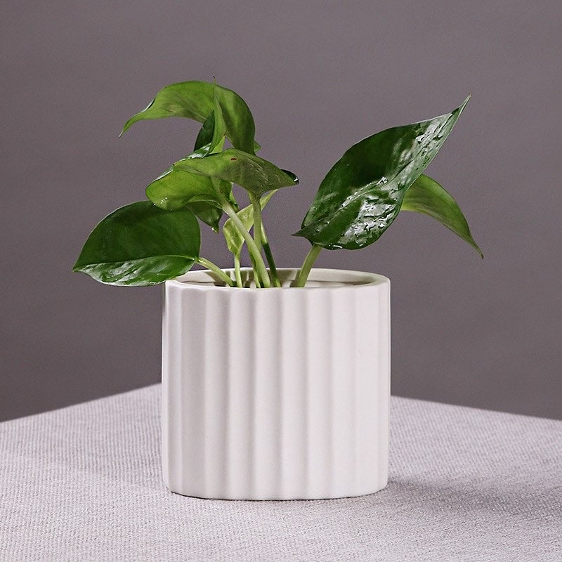 🇸🇬[SG Stock]SG Local European Style White color Vase with Pavilion pattern Dried Flower Vase|Flower Arrangement Ceramic