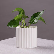 European Style White color Vase with Pavilion pattern | DreamGarden SG