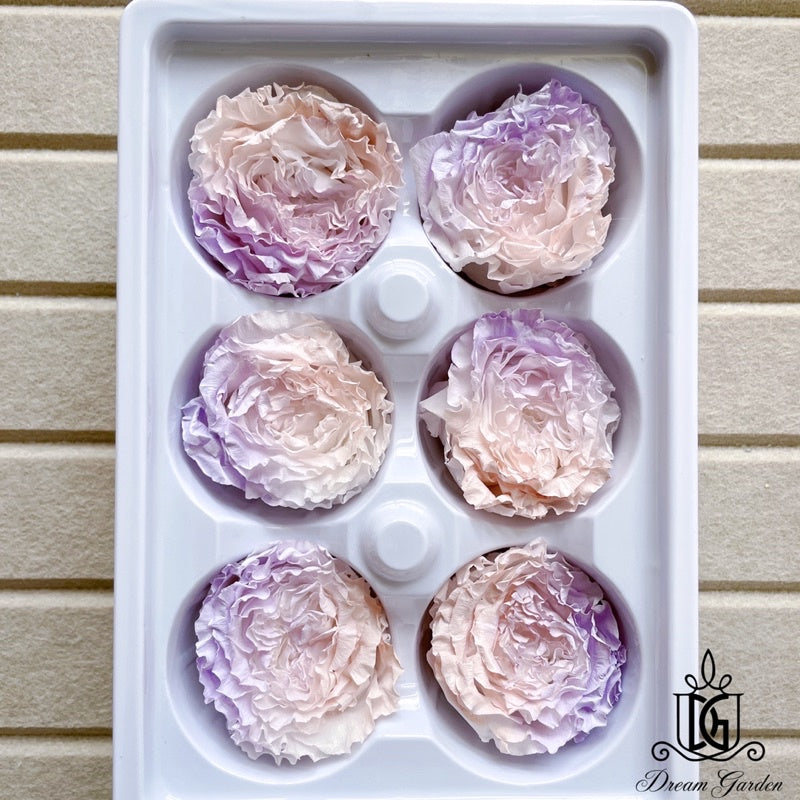 🇸🇬[SG Stock][Dream Garden]SG Stock New Arrival Preserved Flower Preserved Rose Preserved Peony Rose